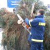 Christbaumaufstellen 2016 09